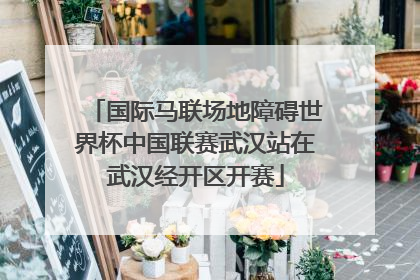 国际马联场地障碍世界杯中国联赛武汉站在武汉经开区开赛