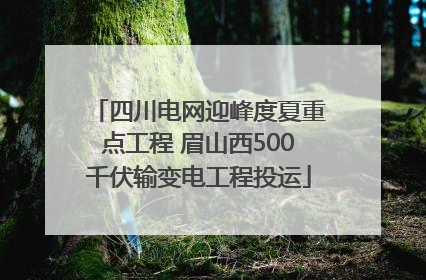 四川电网迎峰度夏重点工程 眉山西500千伏输变电工程投运