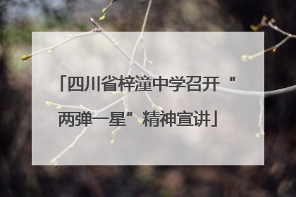 四川省梓潼中学召开“两弹一星”精神宣讲