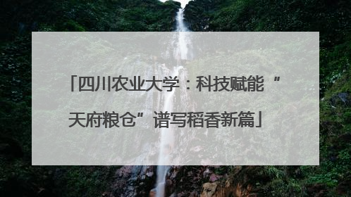 四川农业大学：科技赋能“天府粮仓”谱写稻香新篇