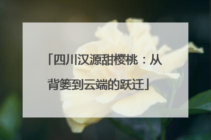 四川汉源甜樱桃：从背篓到云端的跃迁