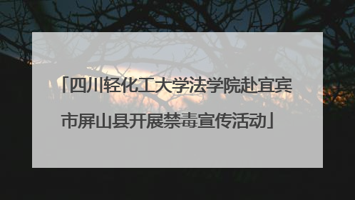 四川轻化工大学法学院赴宜宾市屏山县开展禁毒宣传活动