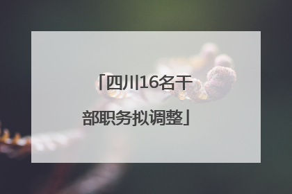 四川16名干部职务拟调整