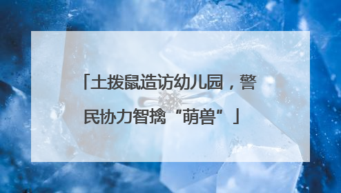 土拨鼠造访幼儿园，警民协力智擒“萌兽”