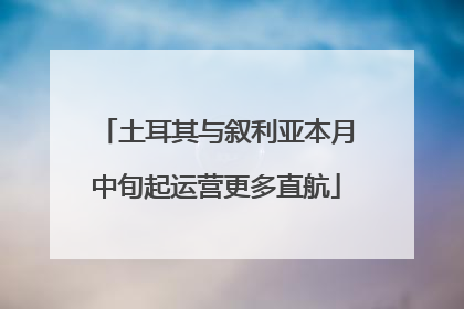 土耳其与叙利亚本月中旬起运营更多直航