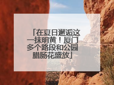 在夏日邂逅这一抹明黄！厦门多个路段和公园腊肠花盛放