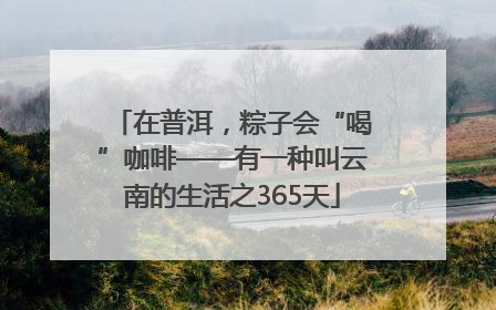 在普洱，粽子会“喝”咖啡——有一种叫云南的生活之365天
