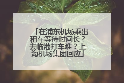 在浦东机场乘出租车等待时间长？去临港打车难？上海机场集团回应