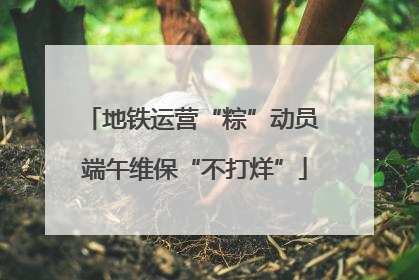 地铁运营“粽”动员 端午维保“不打烊”