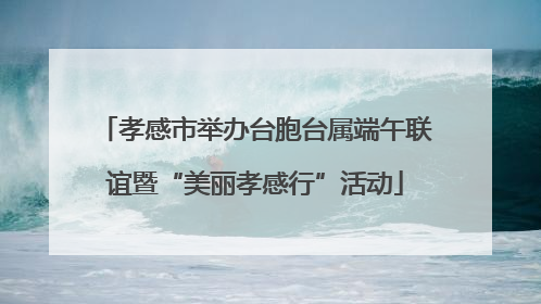 孝感市举办台胞台属端午联谊暨“美丽孝感行”活动
