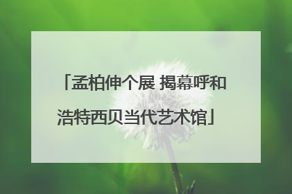 孟柏伸个展 揭幕呼和浩特西贝当代艺术馆