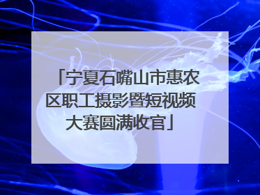 宁夏石嘴山市惠农区职工摄影暨短视频大赛圆满收官