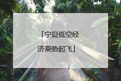 宁夏低空经济乘势起飞