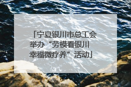 宁夏银川市总工会举办“劳模看银川 幸福微疗养”活动
