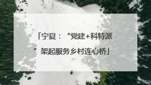 宁夏：“党建+科特派”架起服务乡村连心桥