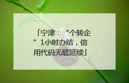 宁津：“个转企”1小时办结，信用代码无缝延续