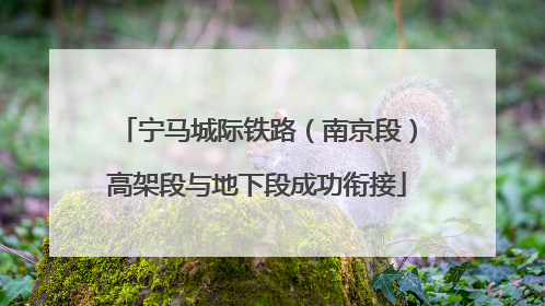 宁马城际铁路（南京段）高架段与地下段成功衔接