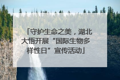 守护生命之美，湖北大悟开展“国际生物多样性日”宣传活动