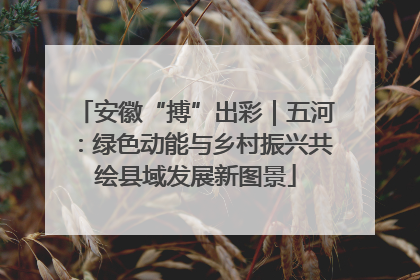 安徽“搏”出彩｜五河：绿色动能与乡村振兴共绘县域发展新图景