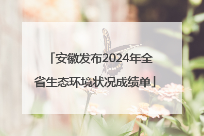 安徽发布2024年全省生态环境状况成绩单