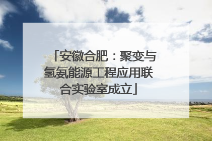 安徽合肥：聚变与氢氨能源工程应用联合实验室成立