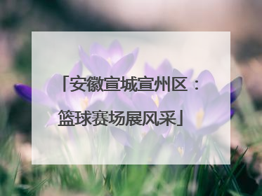 安徽宣城宣州区：篮球赛场展风采