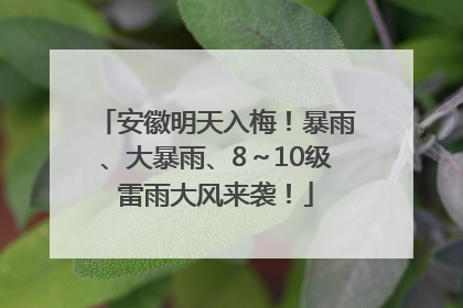 安徽明天入梅！暴雨、大暴雨、8～10级雷雨大风来袭！