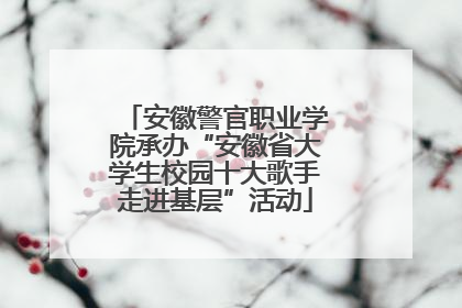 安徽警官职业学院承办“安徽省大学生校园十大歌手走进基层”活动