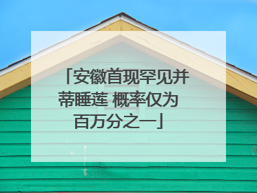 安徽首现罕见并蒂睡莲 概率仅为百万分之一