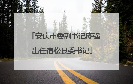 安庆市委副书记廖强出任宿松县委书记