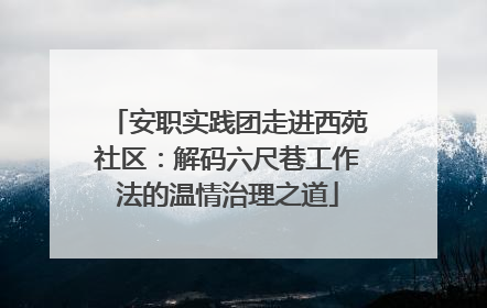 安职实践团走进西苑社区：解码六尺巷工作法的温情治理之道