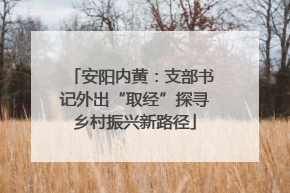 安阳内黄：支部书记外出“取经”探寻乡村振兴新路径