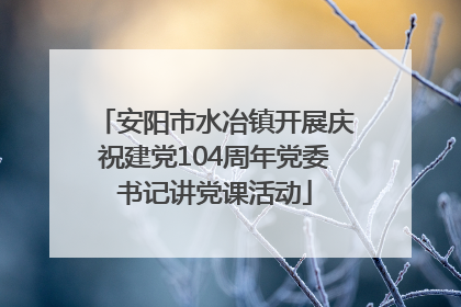 安阳市水冶镇开展庆祝建党104周年党委书记讲党课活动