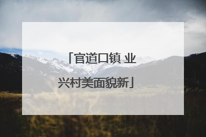 官道口镇 业兴村美面貌新