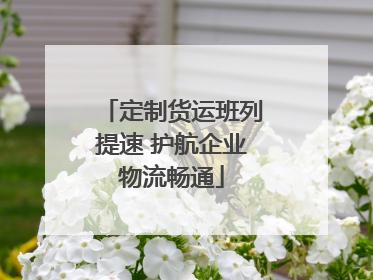 定制货运班列提速 护航企业物流畅通