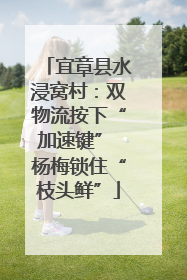 宜章县水浸窝村：双物流按下“加速键” 杨梅锁住“枝头鲜”