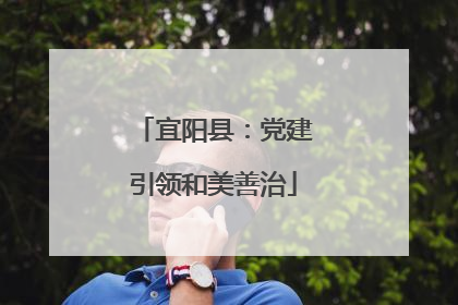 宜阳县：党建引领和美善治