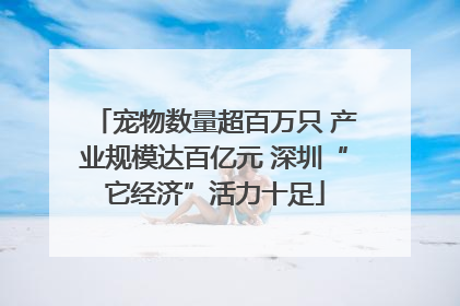 宠物数量超百万只 产业规模达百亿元 深圳“它经济”活力十足