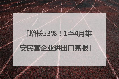 增长53%！1至4月雄安民营企业进出口亮眼