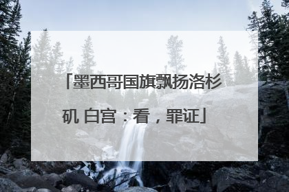 墨西哥国旗飘扬洛杉矶 白宫：看，罪证
