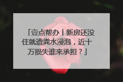 壹点帮办丨新房还没住就遭粪水浸泡，近十万损失谁来承担？