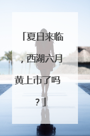 夏日来临，西湖六月黄上市了吗？