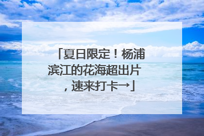 夏日限定！杨浦滨江的花海超出片，速来打卡→