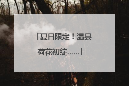 夏日限定！温县荷花初绽……