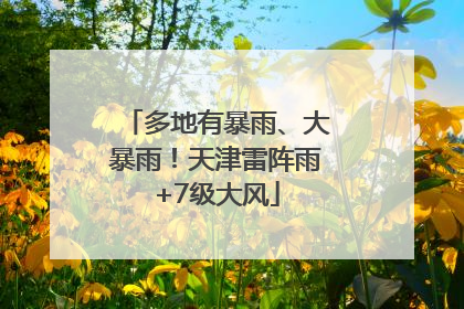 多地有暴雨、大暴雨！天津雷阵雨+7级大风