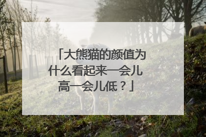 大熊猫的颜值为什么看起来一会儿高一会儿低？