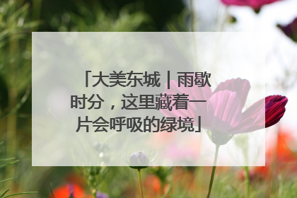 大美东城｜雨歇时分，这里藏着一片会呼吸的绿境