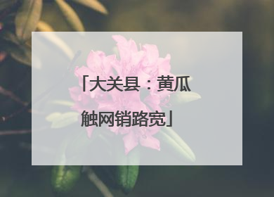 大关县：黄瓜触网销路宽