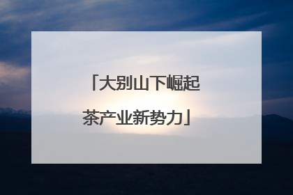 大别山下崛起茶产业新势力