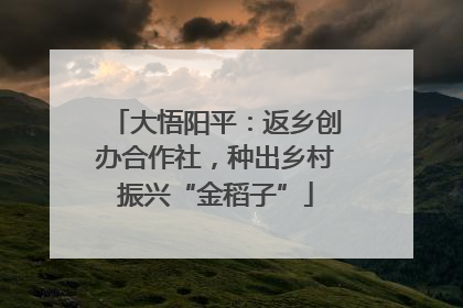 大悟阳平：返乡创办合作社，种出乡村振兴“金稻子”